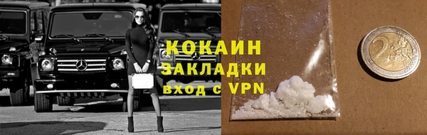 мет Ельня