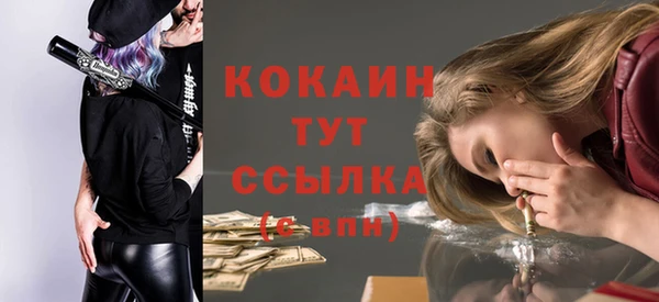 гашик Елизово