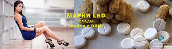 мет Ельня