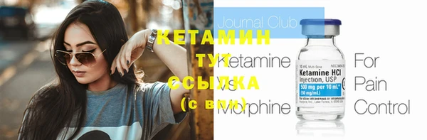 мет Ельня