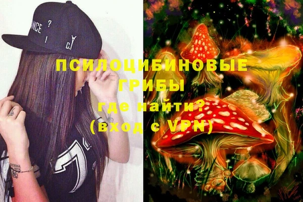мет Ельня