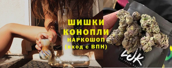 гашик Елизово