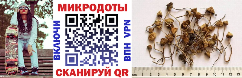 Псилоцибиновые грибы мухоморы  Купить  Бор 